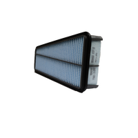Toyota Air Filter for FJ Cruiser Hilux