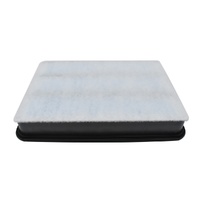 Toyota Air Filter for LandCruiser 70 VDJ70 Series 1VDFTV 2007 onwards