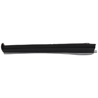 Toyota Right Side Rear Door Moulding