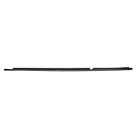 Toyota Rear Door Belt Moulding
