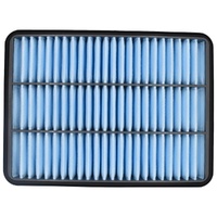 Toyota Air Filter for LandCruiser 200 1VDFTV 4.5 Turbo Diesel 2007-2022