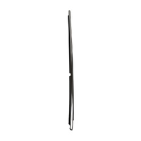 Toyota Rear Door Belt Moulding