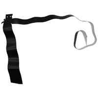 Toyota Front Door Outer Blackout Tape image