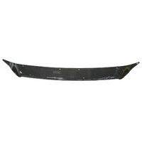 Bonnet Protector Tinted image