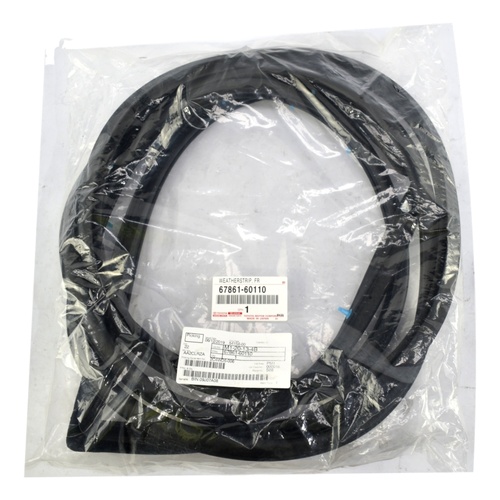 Toyota Front Door Weatherstrip TO6786160110