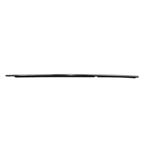 Toyota Rear Door Belt Moulding