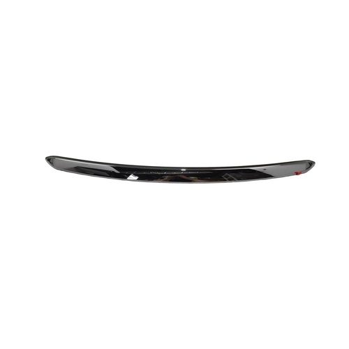 Toyota Hood Moulding Assembly