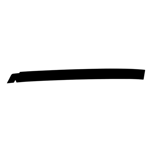 Toyota Lower Left Hand Rear Door Outside Stripe